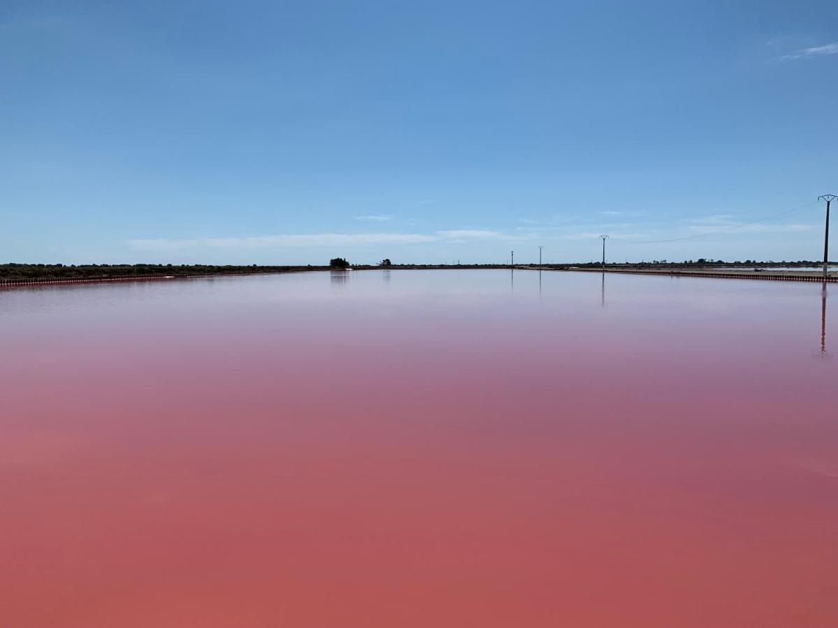 Cabane Maia Aigues Mortes Dış mekan fotoğraf